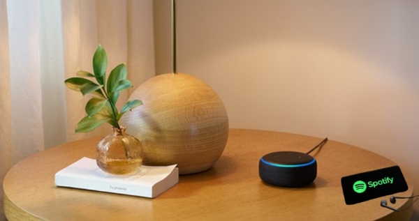 alexa Spotify