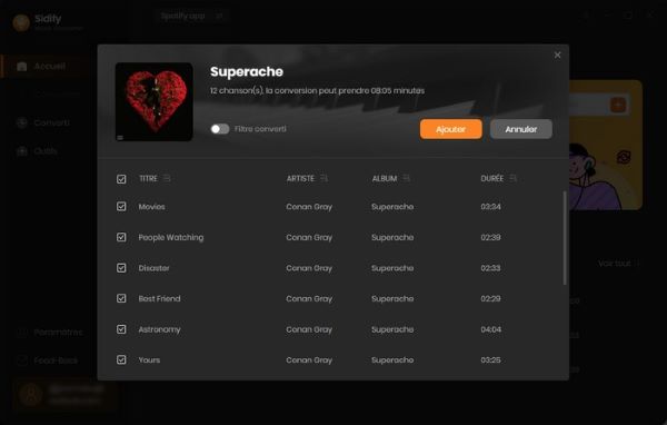 analyse de-playlist sidify