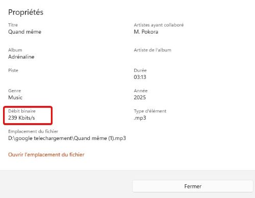 débit de sortie CNVMP3