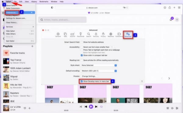 safari développement mode