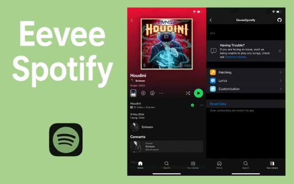 eevee spotify