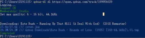 exécuter qobuz dl