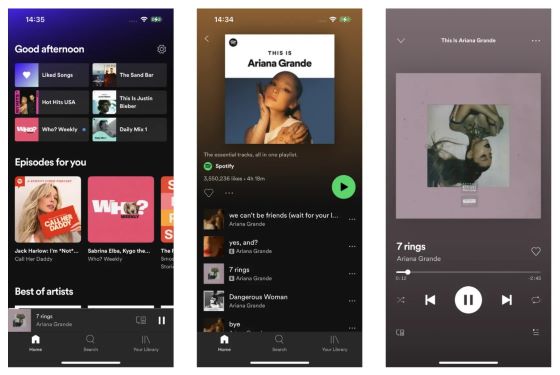 interface eeveespotify