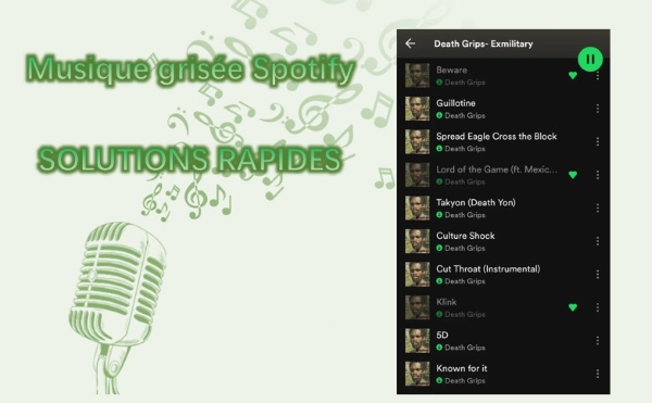 musique grisée spotify 