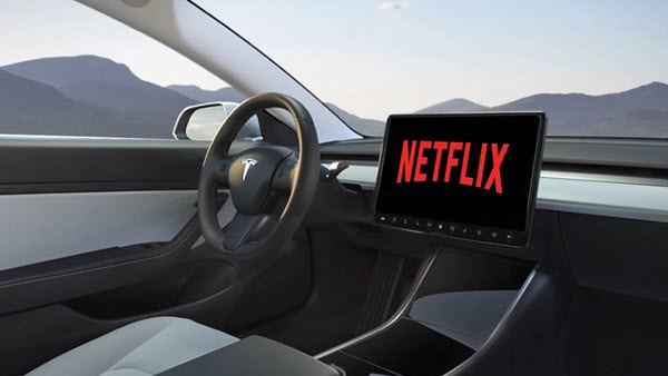 netflix sue tesla