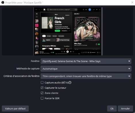 Choisissez la fenêtre Spotify sur OBS
