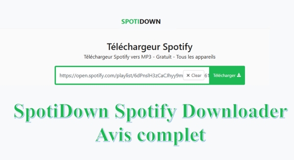 spotidown avis
