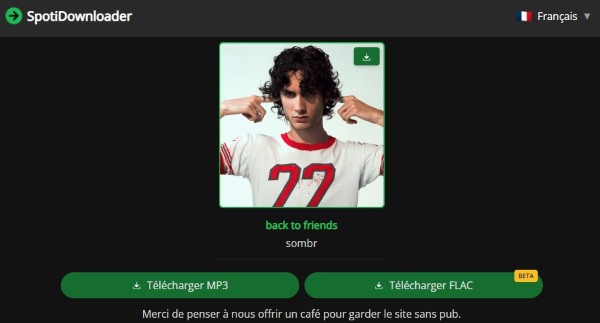spotifydown MP3/FLAC