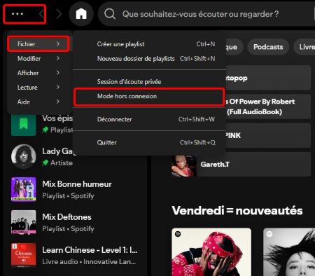 mode hors connexion spotify pc