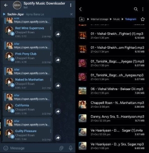 spotify_music_downloader_tg_bot
