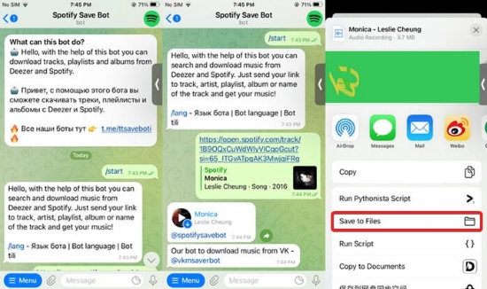 Spotify save bot