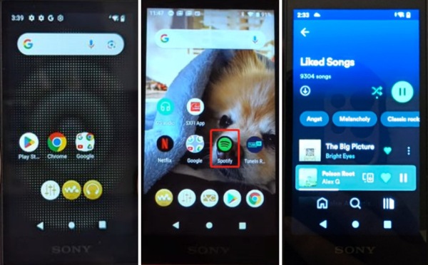 spotify sur sony walkman