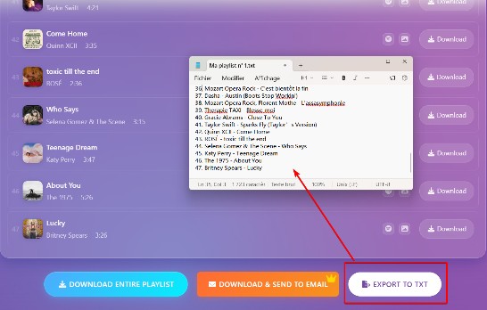 spotisaver txt