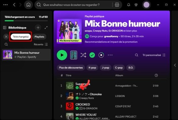 télécharger playlist avec premium