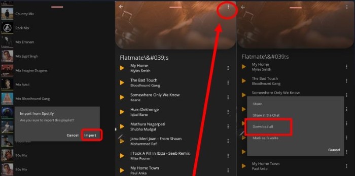 télécharger des chansons Spotify avec Fildo