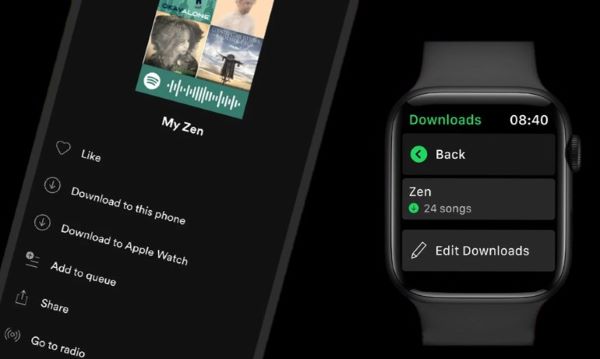télécharger spotify musique sur apple watch