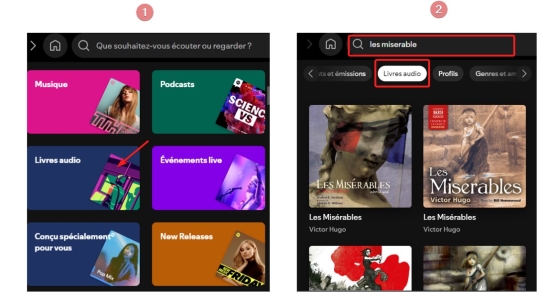 livre audio spotify