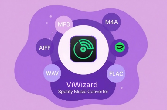 viwizard spotify music converter
