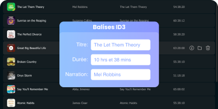 Keep chapter info for audiobook