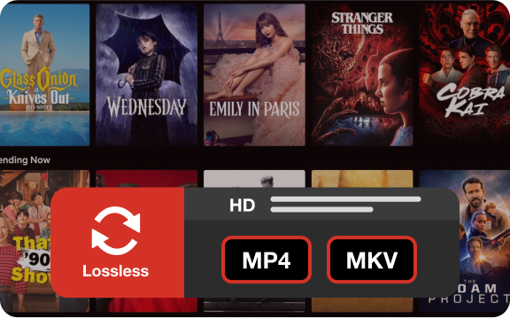 convert netflix to mp4 or mkv