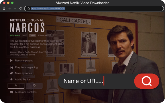 built-in netflix web player