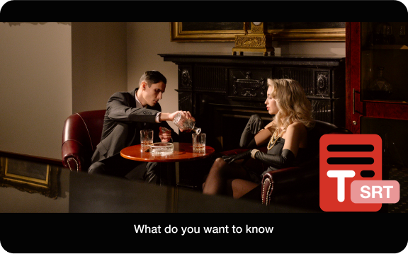 save subtitles to various format files