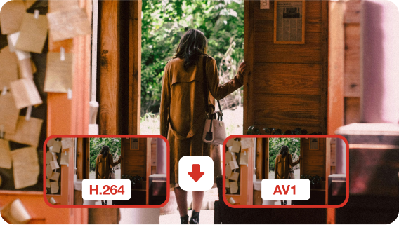 offer various codecs to download