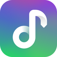 ViWizard Streaming Audio Recorder